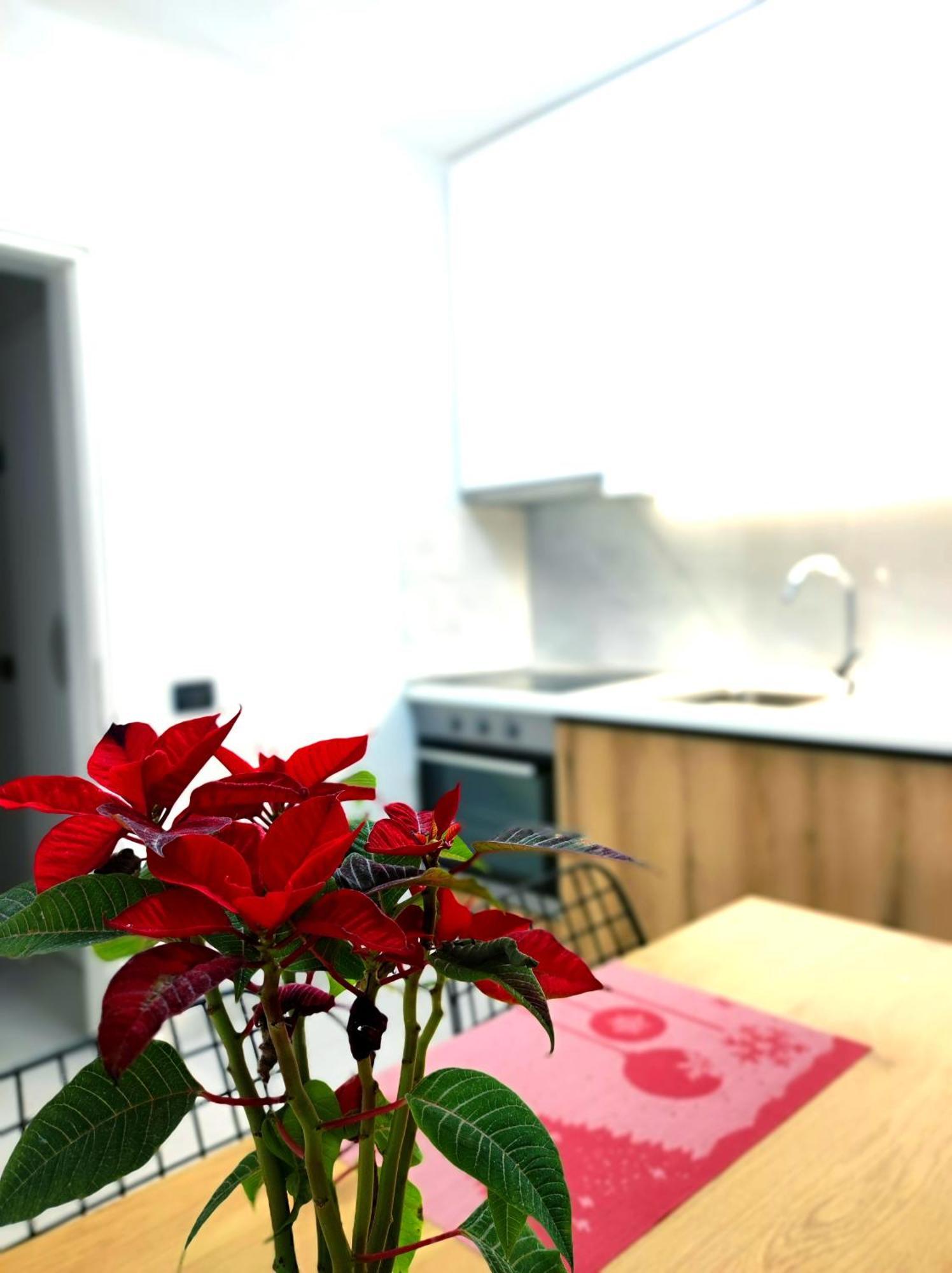 Appartamento Central & Comfy 2 Bedroom *